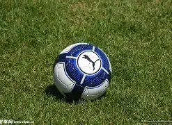 电竞网页版,登录,资讯,IM电竞网页版下载,IM电竞网页版官网,IM电竞网页版登录,IM电竞网页版app