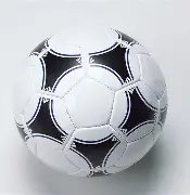 川渝地区大,学生,互联网,IM电竞网页版下载,IM电竞网页版官网,IM电竞网页版登录,IM电竞网页版app