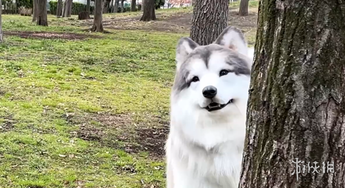 篮球盛宴,勇士对决开,拓者,IM电竞网页版下载,IM电竞网页版官网,IM电竞网页版登录,IM电竞网页版app