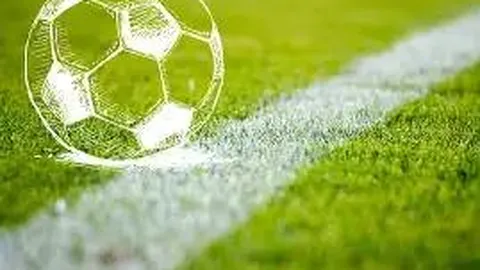 2025广州车展：星途汽车全阵容亮相，羊城绽放光彩